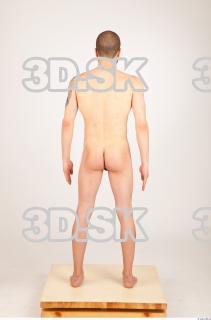 Body texture of Hubert 0045